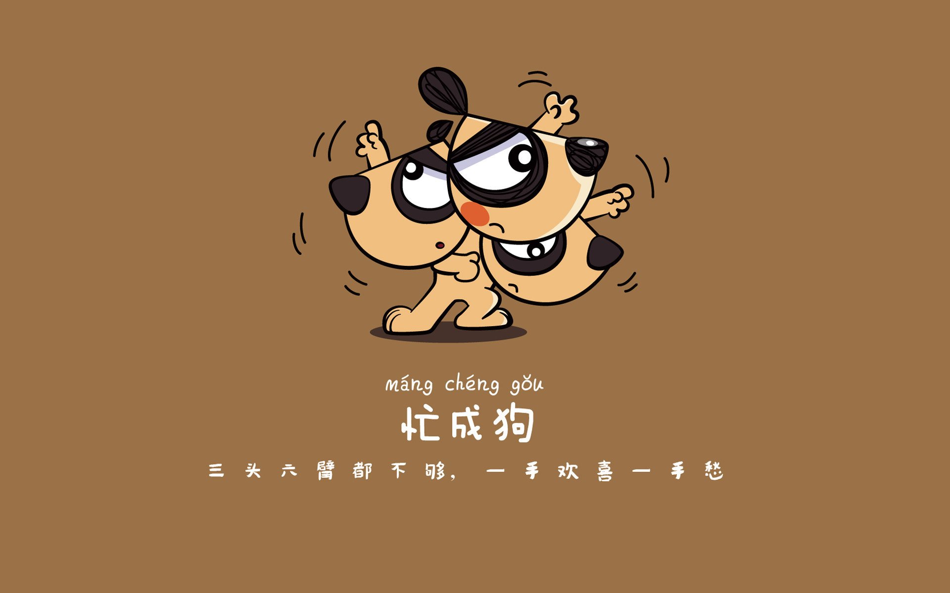“浓墨重彩！明星对决带来比赛史上最精彩瞬间”，明星对决综艺节目