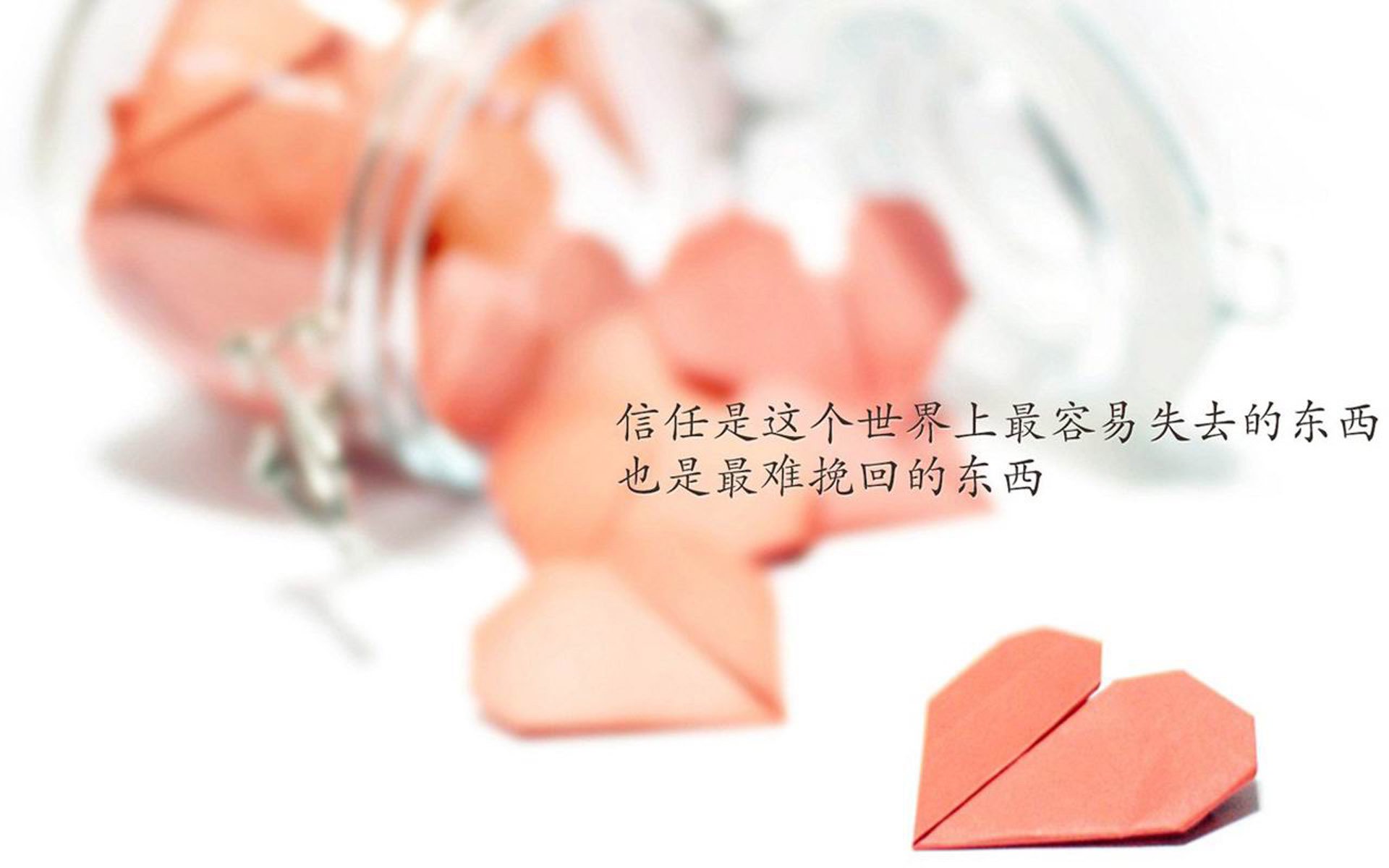 开云官网在线-“青训专家：系统化培养是中国足球的未来”，足球 系统