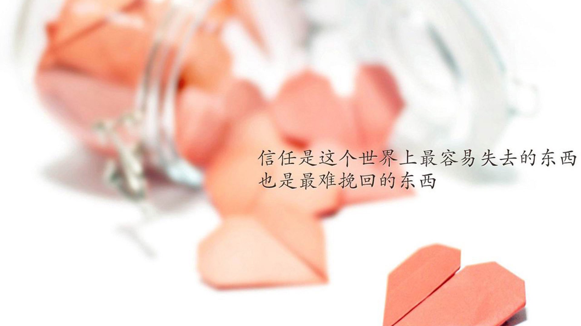 “青训装备升级，打造一流青少年足球训练环境”，青少年足球培养