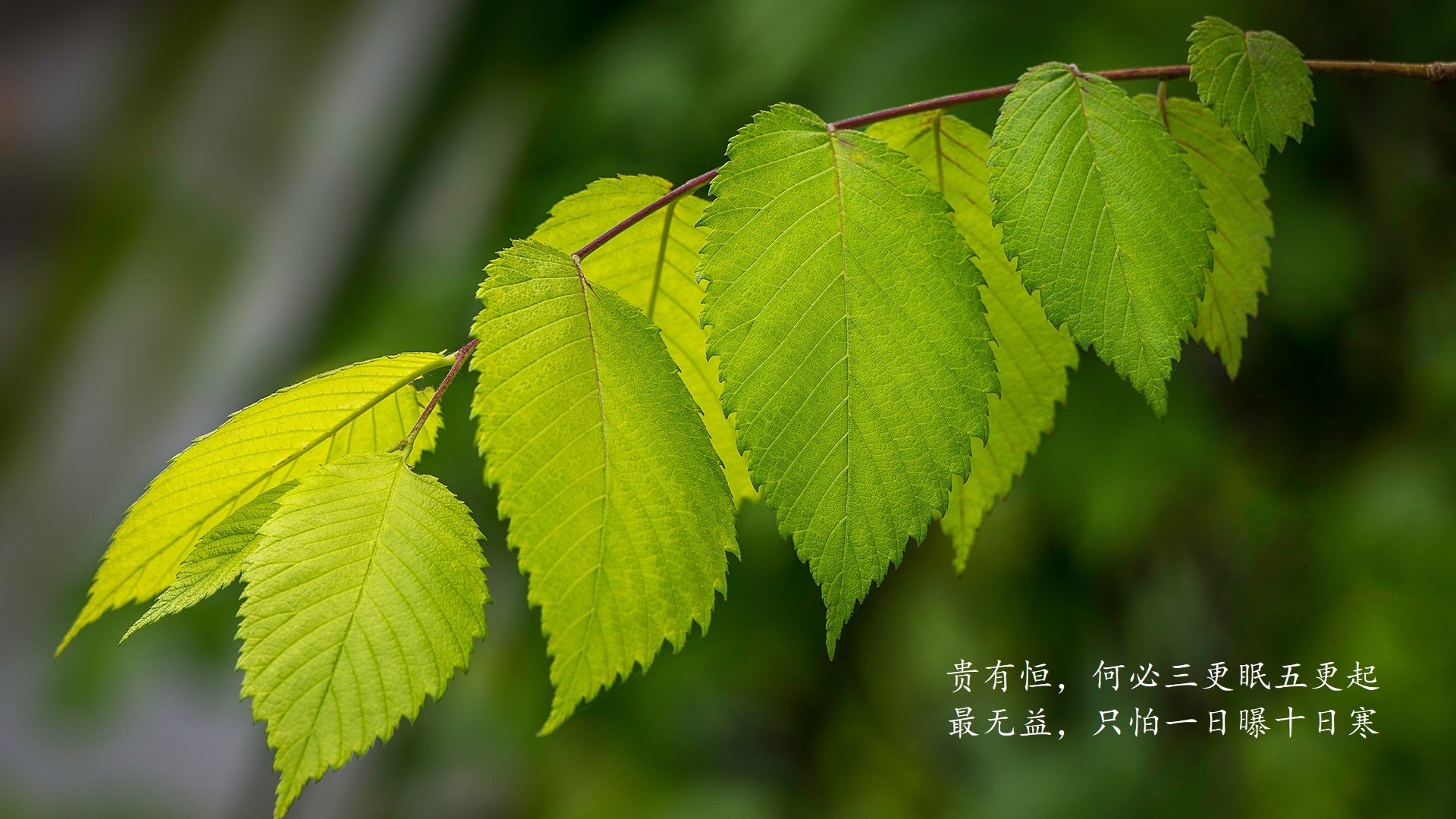 中国男足小组赛全胜，强势晋级淘汰赛，中国男足小组第二排名