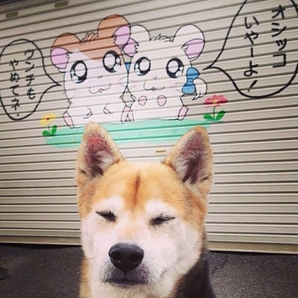 校园体育文化对学生团队合作能力的影响，对校园体育文化的畅想